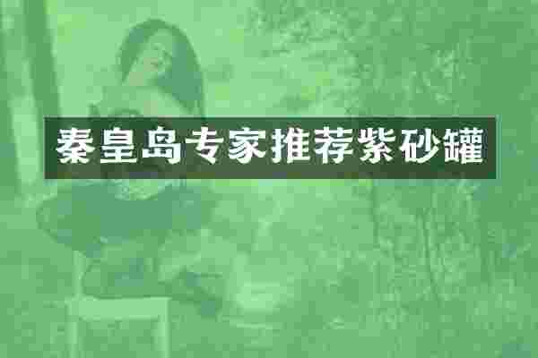 秦皇岛专家推荐紫砂罐