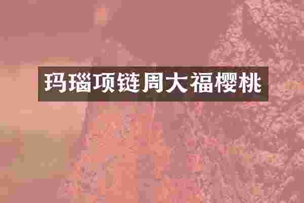 玛瑙项链周大福樱桃