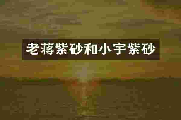 老蒋紫砂和小宇紫砂