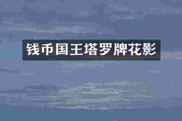 钱币国王塔罗牌花影
