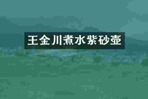 王金川煮水紫砂壶