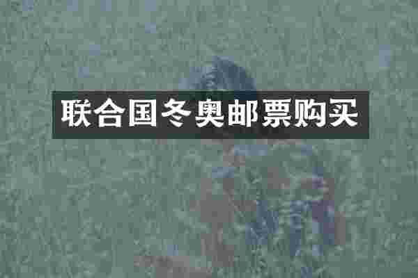 联合国冬奥邮票购买