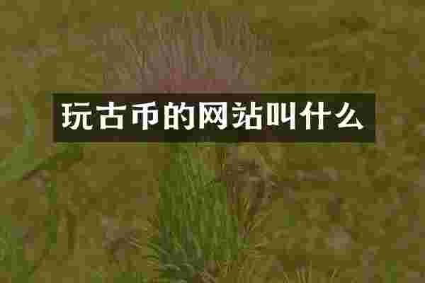 玩古币的网站叫什么