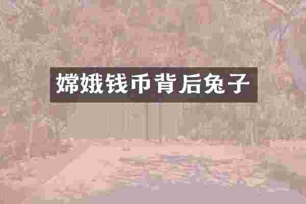 嫦娥钱币背后兔子