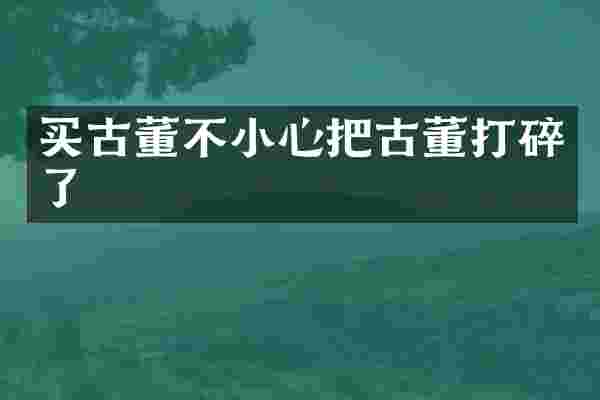 买古董不小心把古董打碎了