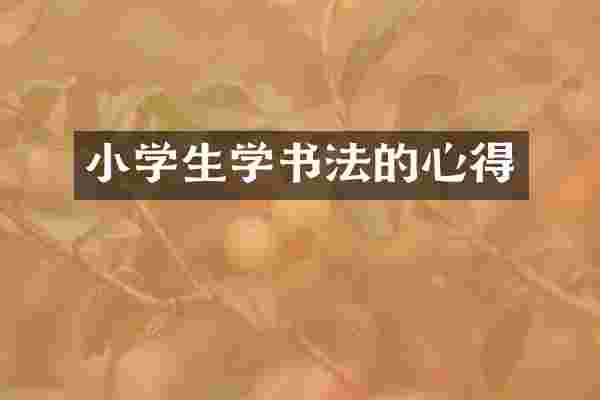 小学生学书法的心得