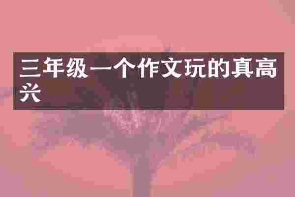 三年级一个作文玩的真高兴