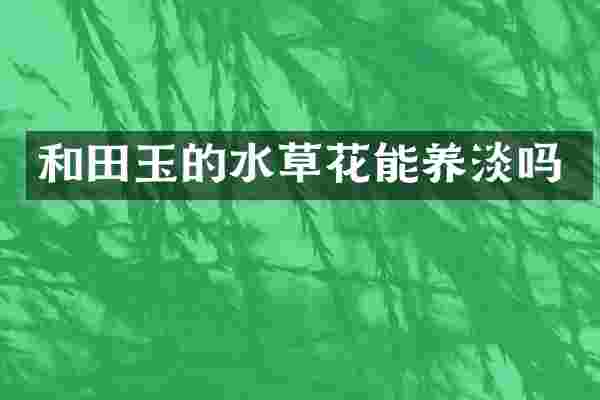 和田玉的水草花能养淡吗