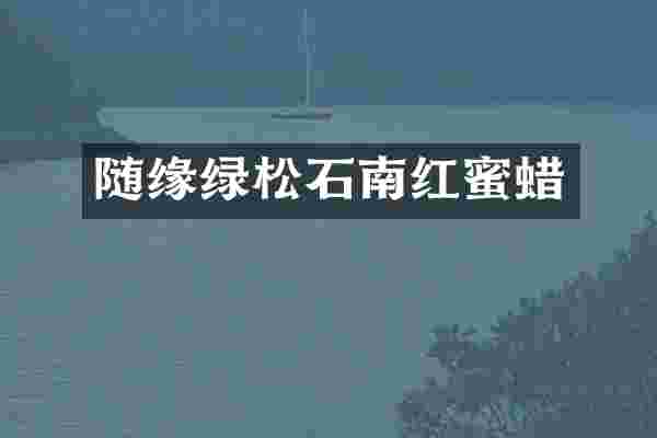 随缘绿松石南红蜜蜡