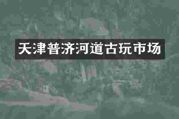 天津普济河道古玩市场