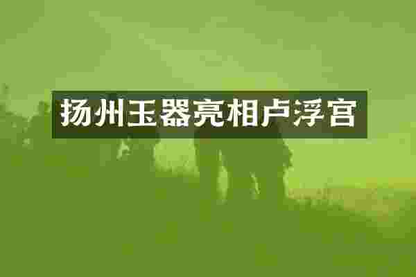 扬州玉器亮相卢浮宫