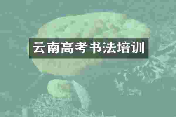 云南高考书法培训