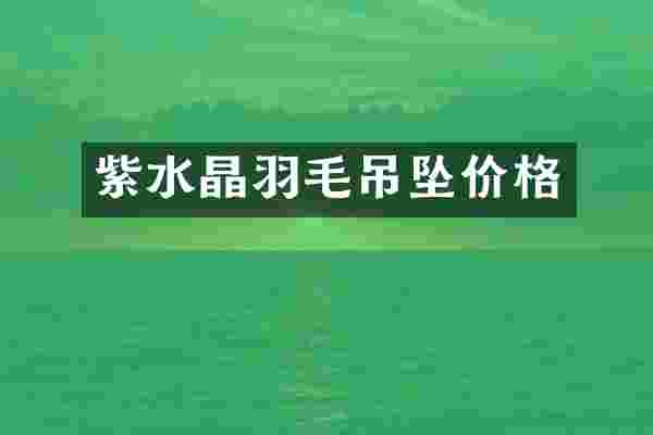 紫水晶羽毛吊坠价格