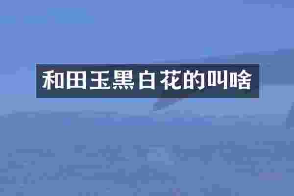 和田玉黑白花的叫啥