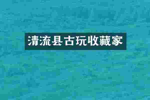 清流县古玩收藏家
