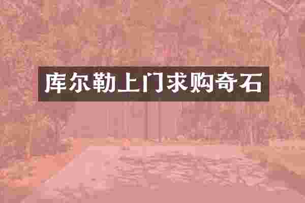 库尔勒上门求购奇石