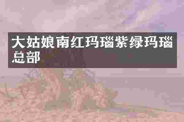 大姑娘南红玛瑙紫绿玛瑙总部