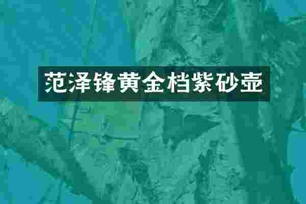 范泽锋黄金档紫砂壶