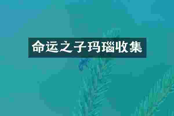 命运之子玛瑙收集