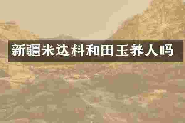 新疆米达料和田玉养人吗