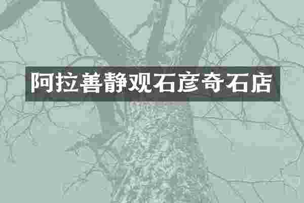 阿拉善静观石彦奇石店