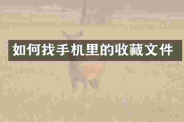 如何找手机里的收藏文件