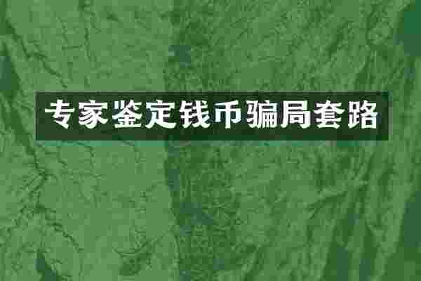 专家鉴定钱币骗局套路
