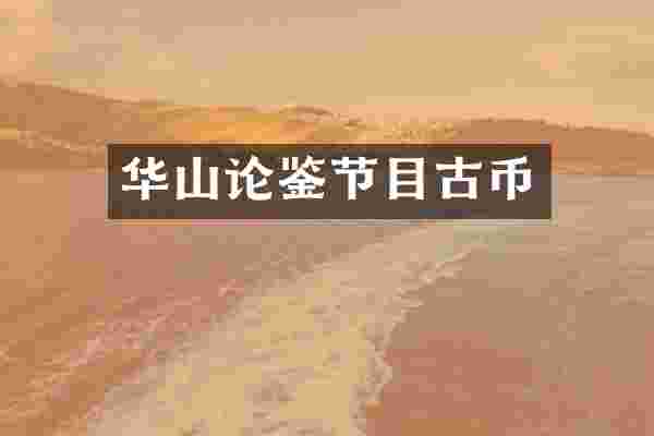 华山论鉴节目古币