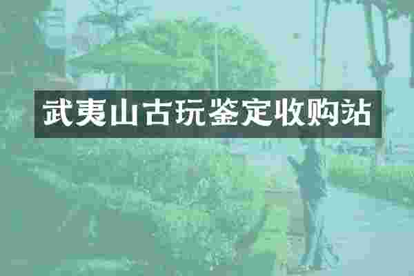 武夷山古玩鉴定收购站