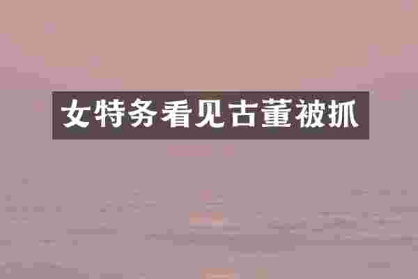 女特务看见古董被抓