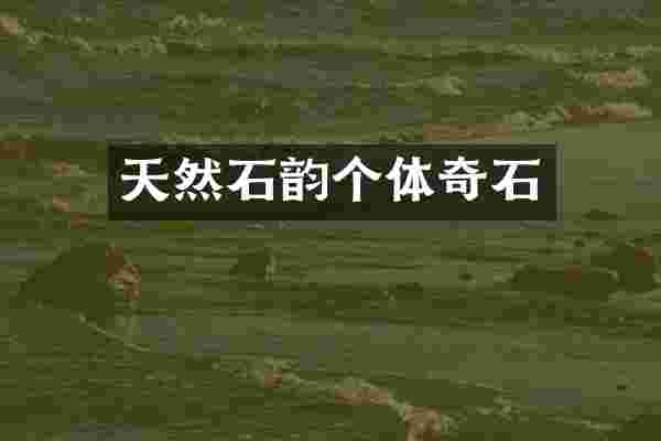 天然石韵个体奇石