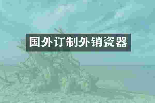 国外订制外销瓷器
