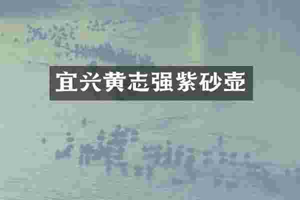 宜兴黄志强紫砂壶