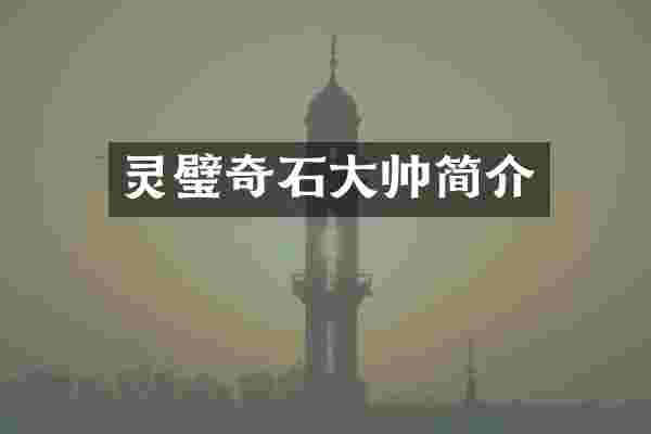 灵璧奇石大帅简介