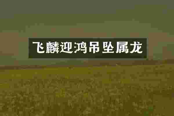 飞麟迎鸿吊坠属龙
