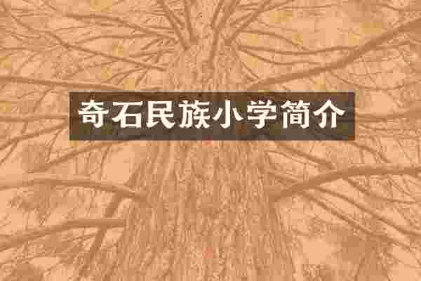 奇石民族小学简介