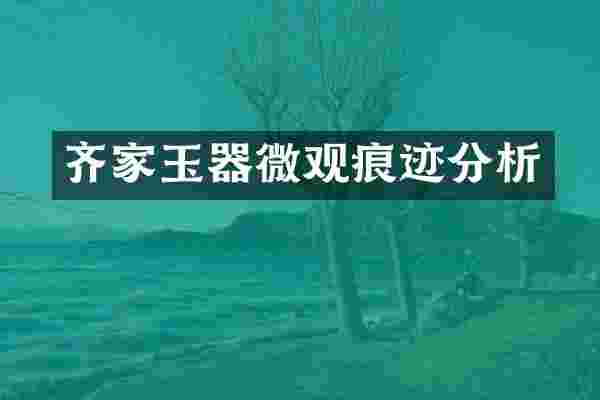 齐家玉器微观痕迹分析