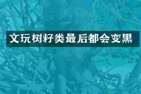 文玩树籽类最后都会变黑