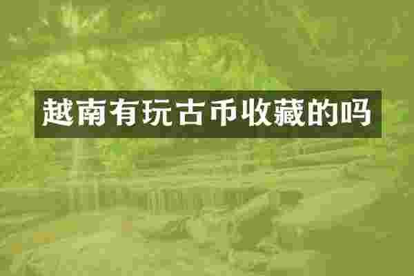 越南有玩古币收藏的吗