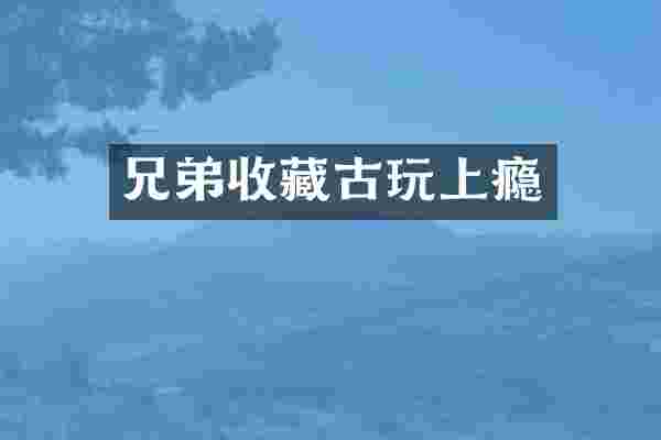 兄弟收藏古玩上瘾