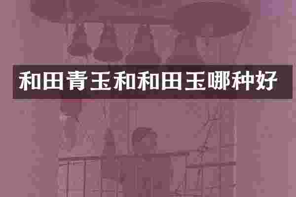 和田青玉和和田玉哪种好