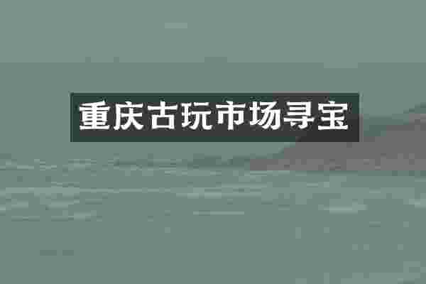 重庆古玩市场寻宝