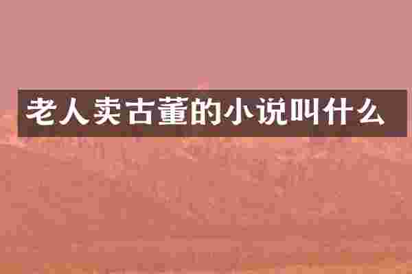 老人卖古董的小说叫什么