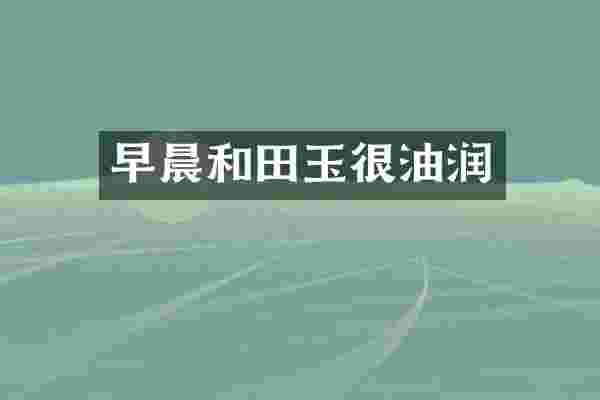 早晨和田玉很油润