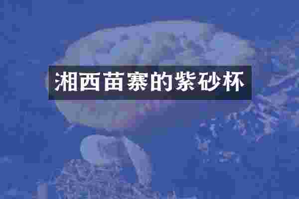 湘西苗寨的紫砂杯