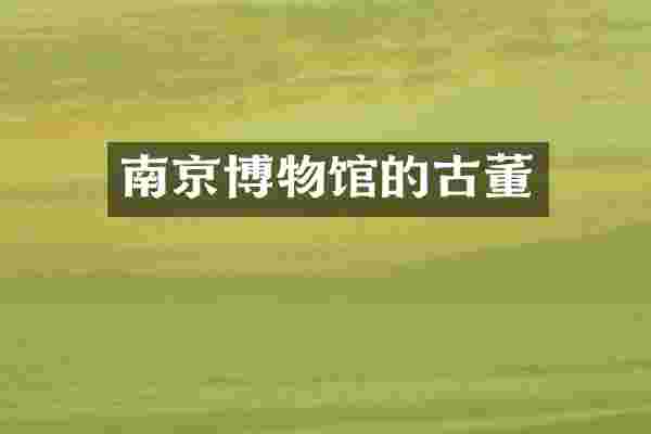 南京博物馆的古董