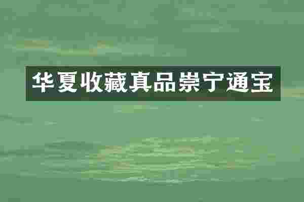 华夏收藏真品崇宁通宝