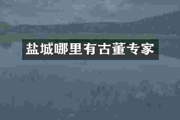 盐城哪里有古董专家