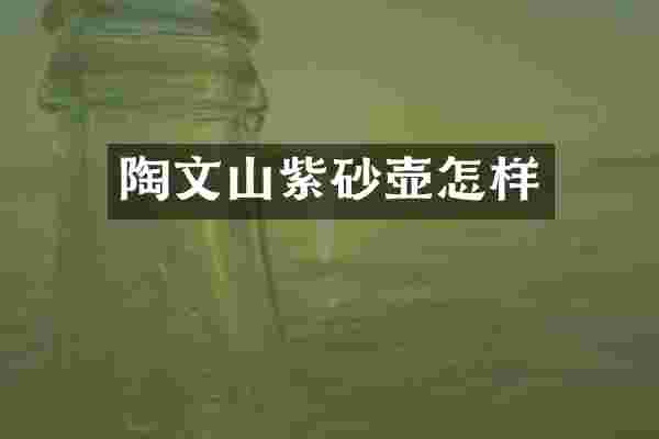 陶文山紫砂壶怎样