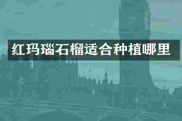 红玛瑙石榴适合种植哪里